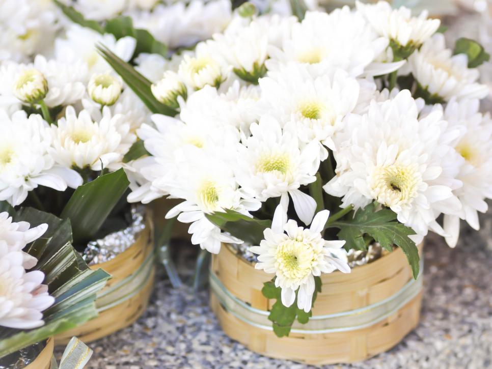 Top 10 Plants for Cleaning Indoor Air HGTV